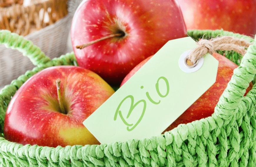 Le Guide Complet des Labels en France, Europe et à l’International